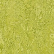 chartreuse