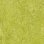 chartreuse