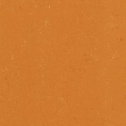  0170 KUMQUAT ORANGE 
