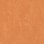 African desert