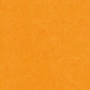marigold
