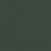  0035 RACING GREEN 