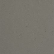 0560 BOLD GREY 