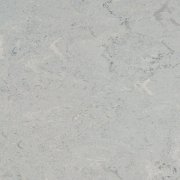  0055 ASH GREY 