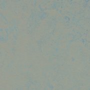 blue shimmer