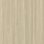 desert sand