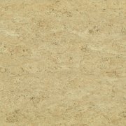  0070 ROCKY BROWN 