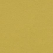 yellow moss