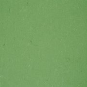  0006 VIVID GREEN 