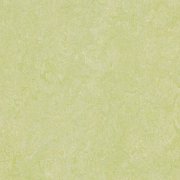 green wellness