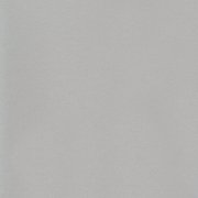  0081 NICKEL GREY 