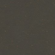black tea
