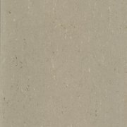  0043 LIGHT MUD 