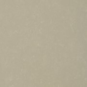 0556 MUD GREY 
