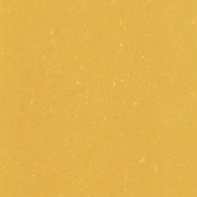  0171 SUNRISE ORANGE 