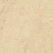 calico