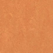 African desert