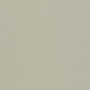  0085 WARM CONCRETE GREY 