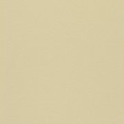  0043 NEUTRAL BEIGE 