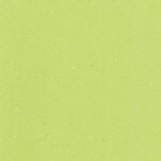  0132 SPICY GREEN 