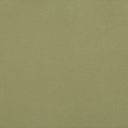  0090 OLIVE 
