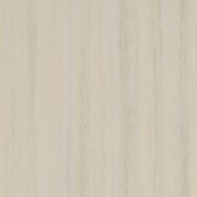 ivory shades