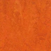 Kyoto
