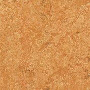 Sahara