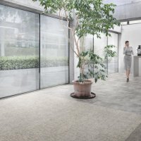 Desso Linon