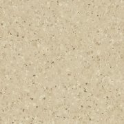 biscuit
