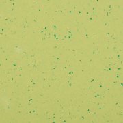  5427 GREEN ZEST 