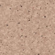  0329 HAZELNUT 