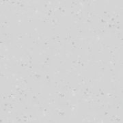 white grey
