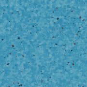  0342 BLUEBERRY 