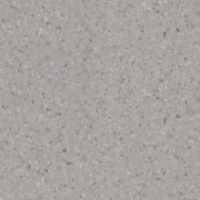 dusty miller