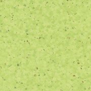  0338 KIWI 