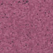 0331 PLUM 