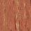 1055 APRICOT