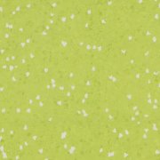 yellow green