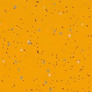 vivid mandarin