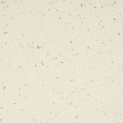  5402 IVORY DUST 