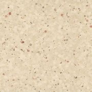  0328 ALMOND 