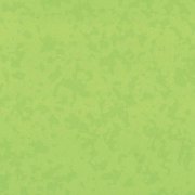  4527 BAMBOO 