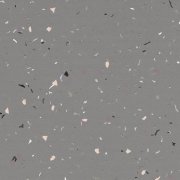 shimmer pigeon