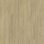 Oak Elegant WARM Gray