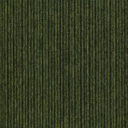 20710