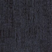 22207