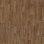dark beech