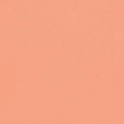 pink coral