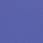 blue uni